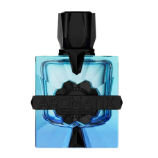 French Avenue Aromatix Magnetiq EXP 100 ml